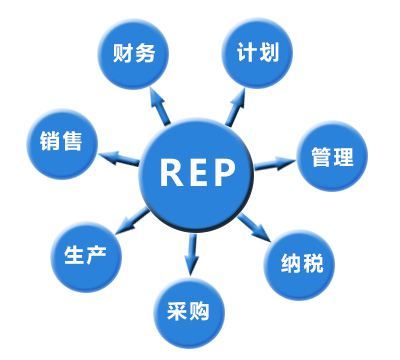 企業ERP實施中的核心難題及其應對策略